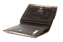 Bella Bertucci Кошелек 00000016004 2