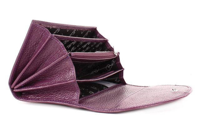 Karya Гаманець 00000017305 2